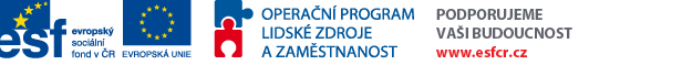Evropský sociální fond (ESF) operační program Lidské zdroje a zaměstnanost (OP LZZ)